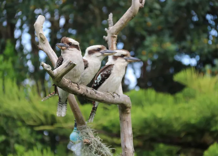 Salamander Bay Bed And Breakfast
